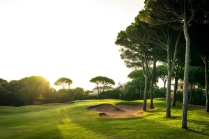 Partilha de Conhecimento e Experiência